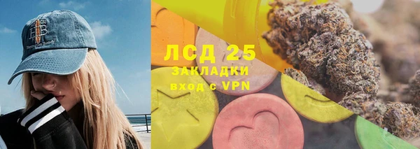PSILOCYBIN Новозыбков