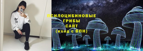 не бодяженный Нязепетровск