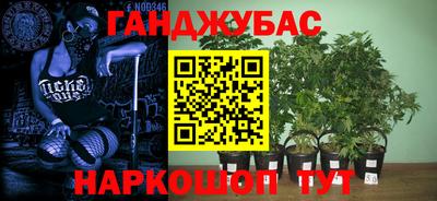 ECSTASY Гагарин