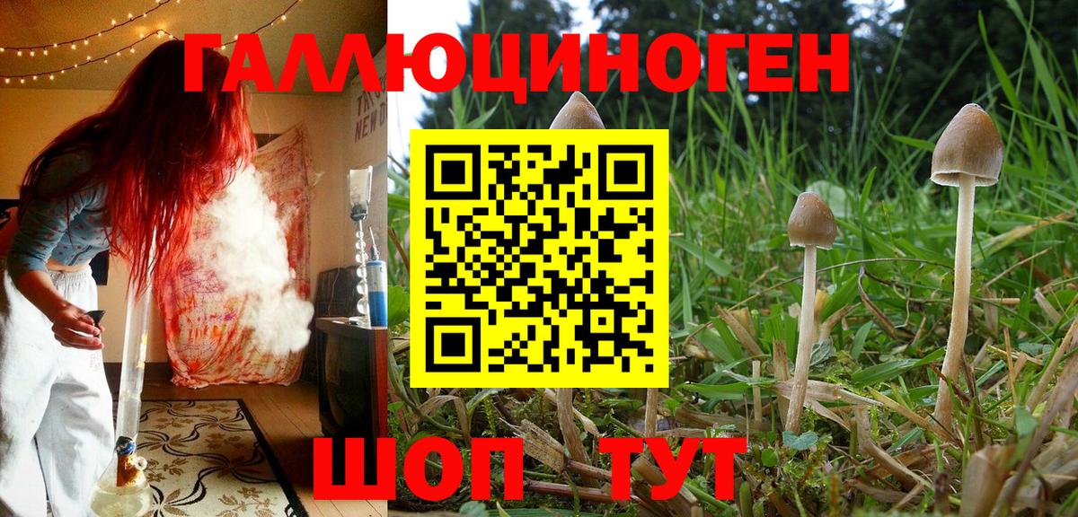 Галлюциногенные грибы ЛСД Коломна