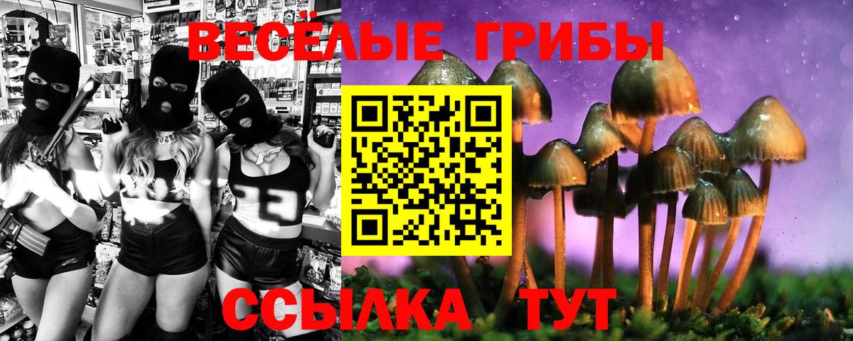 Псилоцибиновые грибы Cubensis Коломна