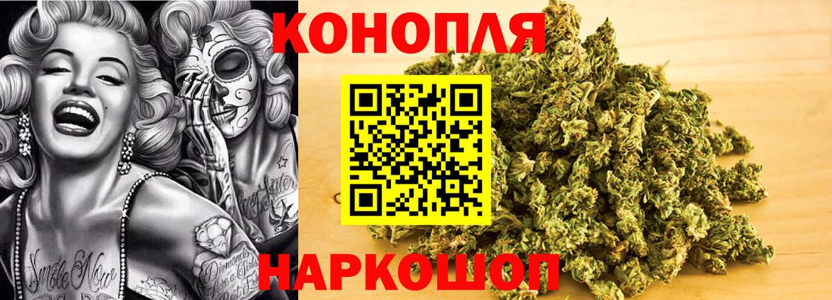 Канабис конопля Коломна